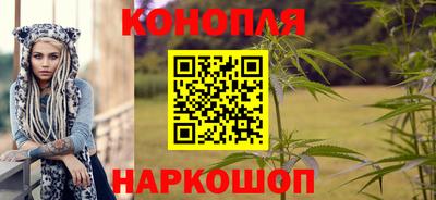 МДПВ Лесосибирск